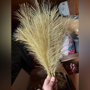 Gold Pampas Grass